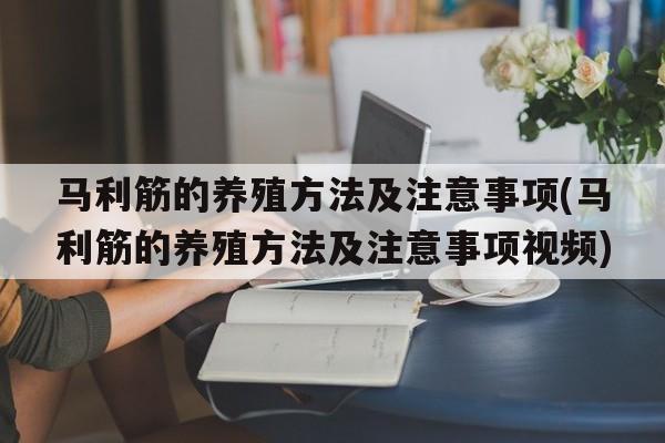 马利筋的养殖方法及注意事项(马利筋的养殖方法及注意事项视频)