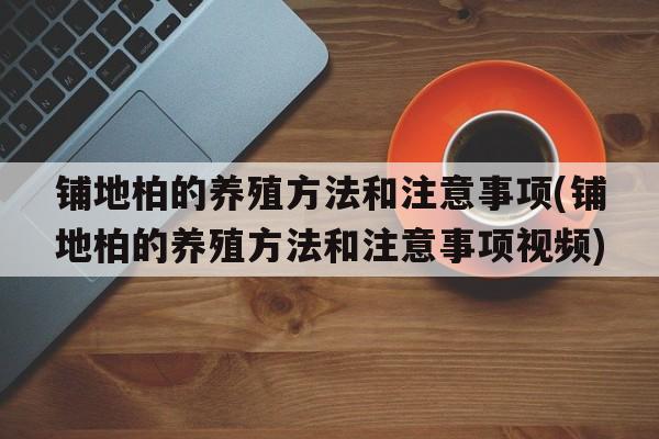 铺地柏的养殖方法和注意事项(铺地柏的养殖方法和注意事项视频)