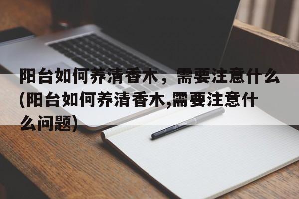 阳台如何养清香木，需要注意什么(阳台如何养清香木,需要注意什么问题)