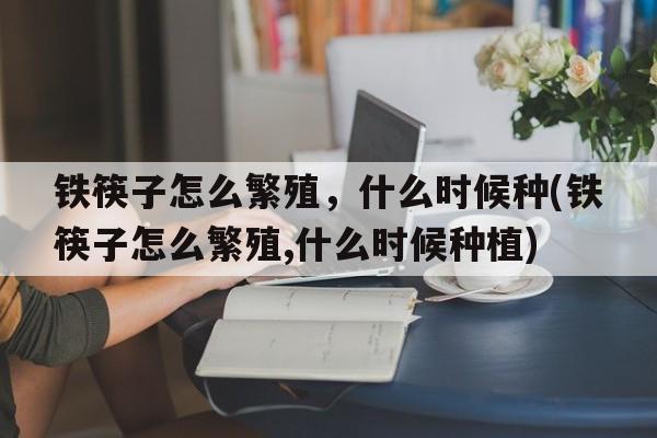 铁筷子怎么繁殖，什么时候种(铁筷子怎么繁殖,什么时候种植)