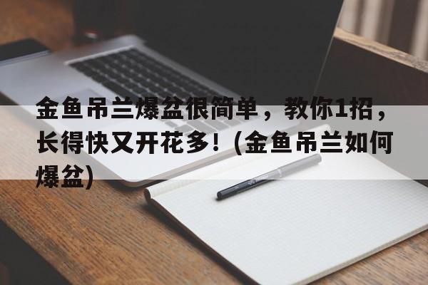 金鱼吊兰爆盆很简单，教你1招，长得快又开花多！(金鱼吊兰如何爆盆)