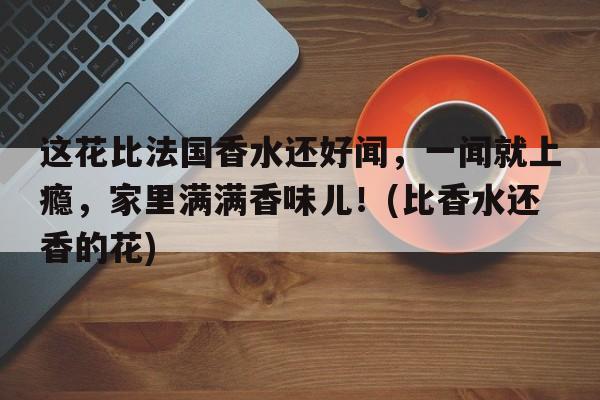 这花比法国香水还好闻，一闻就上瘾，家里满满香味儿！(比香水还香的花)