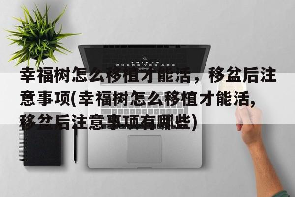 幸福树怎么移植才能活，移盆后注意事项(幸福树怎么移植才能活,移盆后注意事项有哪些)