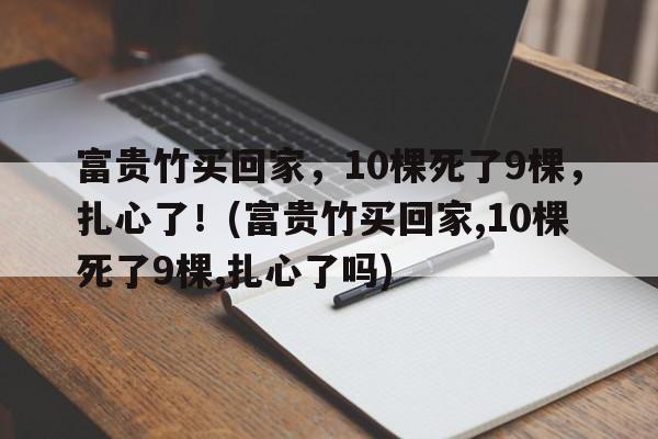 富贵竹买回家，10棵死了9棵，扎心了！(富贵竹买回家,10棵死了9棵,扎心了吗)