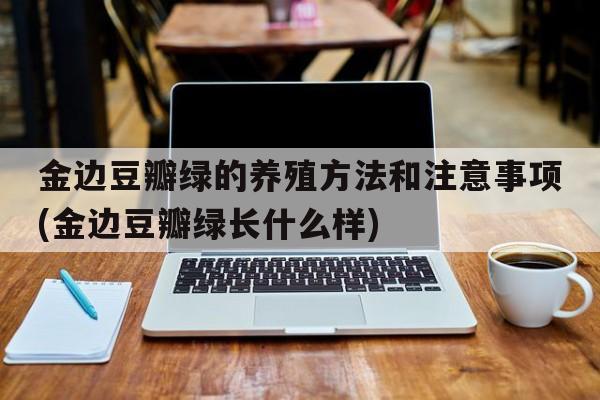 金边豆瓣绿的养殖方法和注意事项(金边豆瓣绿长什么样)