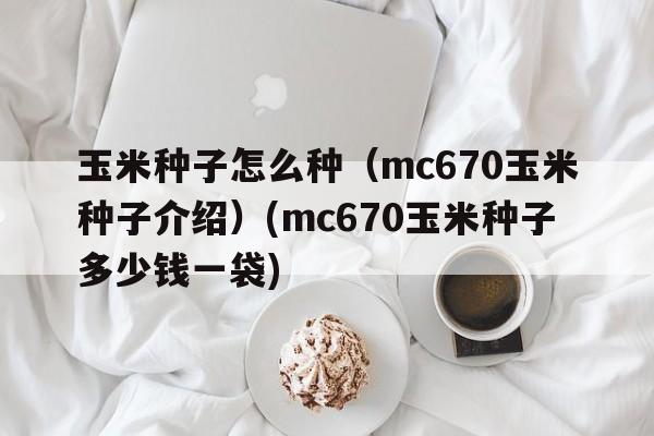 玉米种子怎么种（mc670玉米种子介绍）(mc670玉米种子多少钱一袋)