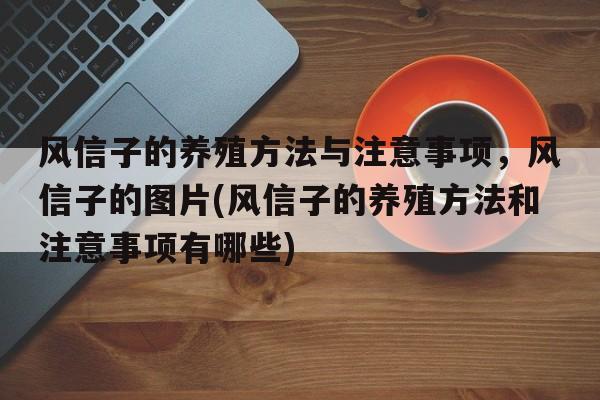 风信子的养殖方法与注意事项，风信子的图片(风信子的养殖方法和注意事项有哪些)