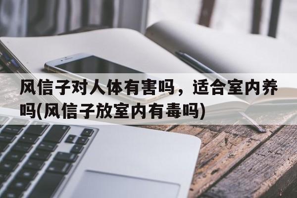 风信子对人体有害吗，适合室内养吗(风信子放室内有毒吗)