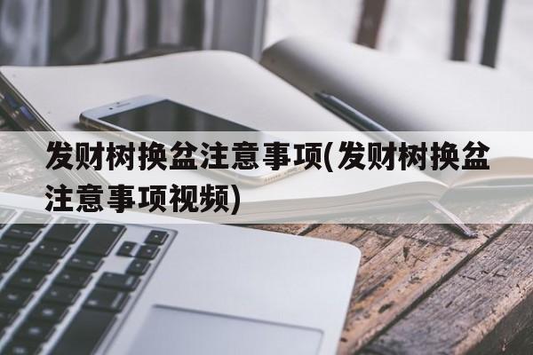 发财树换盆注意事项(发财树换盆注意事项视频)