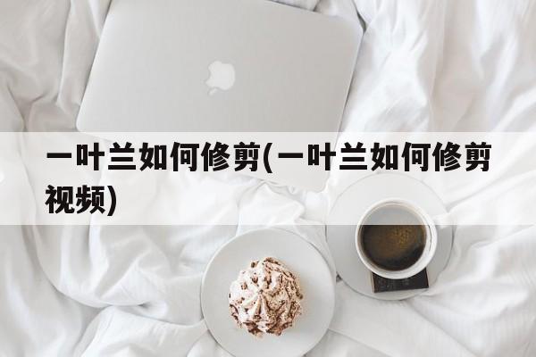 一叶兰如何修剪(一叶兰如何修剪视频)