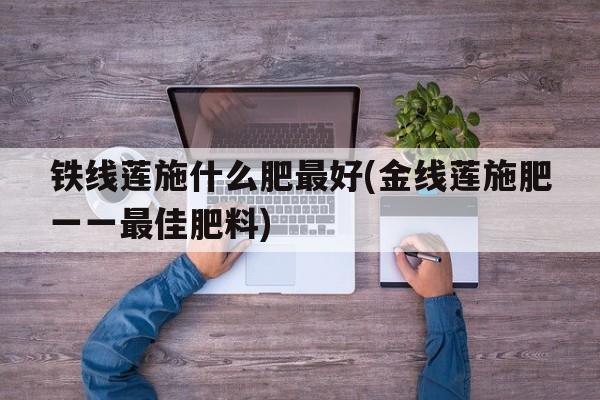 铁线莲施什么肥最好(金线莲施肥一一最佳肥料)