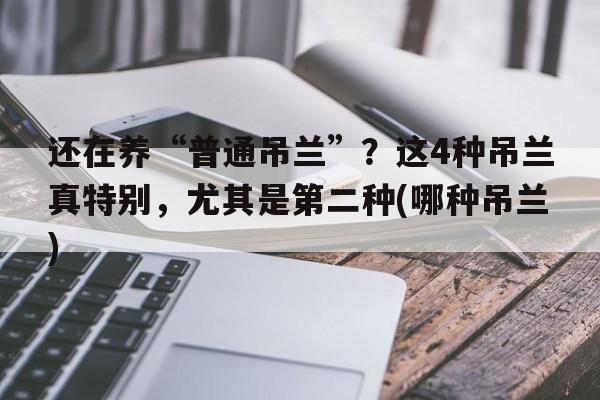 还在养“普通吊兰”？这4种吊兰真特别，尤其是第二种(哪种吊兰)