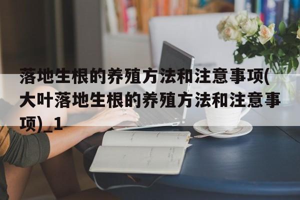 落地生根的养殖方法和注意事项(大叶落地生根的养殖方法和注意事项)_1