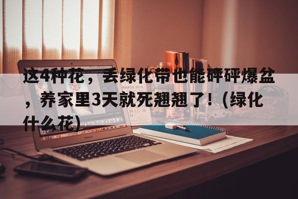 这4种花，丢绿化带也能砰砰爆盆，养家里3天就死翘翘了！(绿化什么花)