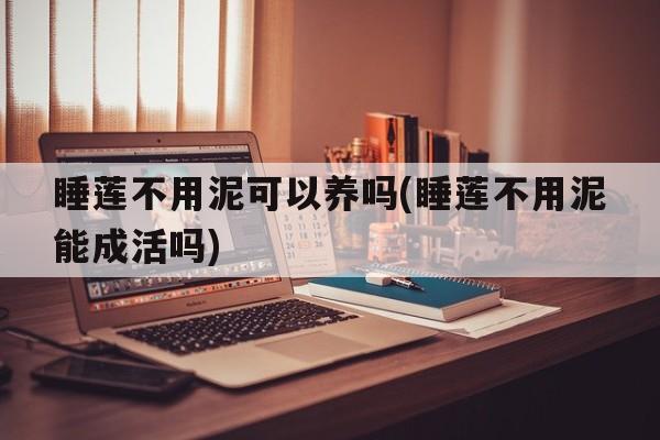 睡莲不用泥可以养吗(睡莲不用泥能成活吗)