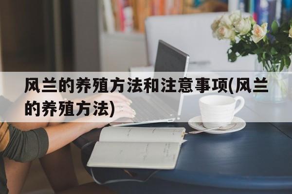 风兰的养殖方法和注意事项(风兰的养殖方法)