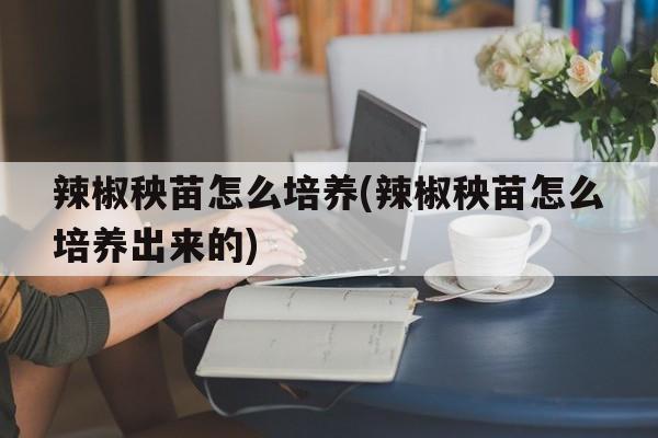 辣椒秧苗怎么培养(辣椒秧苗怎么培养出来的)