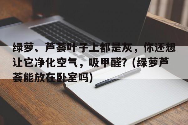 绿萝、芦荟叶子上都是灰，你还想让它净化空气，吸甲醛？(绿萝芦荟能放在卧室吗)