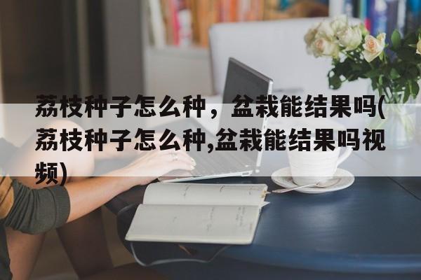 荔枝种子怎么种，盆栽能结果吗(荔枝种子怎么种,盆栽能结果吗视频)