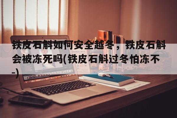 铁皮石斛如何安全越冬，铁皮石斛会被冻死吗(铁皮石斛过冬怕冻不-)