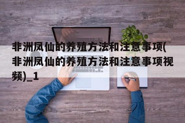 非洲凤仙的养殖方法和注意事项(非洲凤仙的养殖方法和注意事项视频)_1