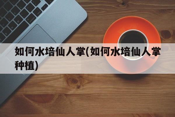 如何水培仙人掌(如何水培仙人掌种植)