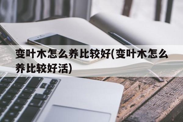 变叶木怎么养比较好(变叶木怎么养比较好活)