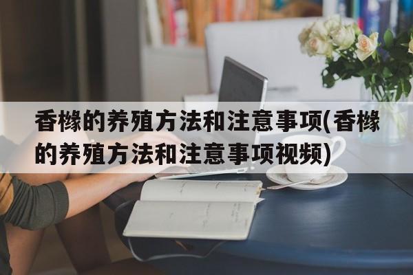 香橼的养殖方法和注意事项(香橼的养殖方法和注意事项视频)