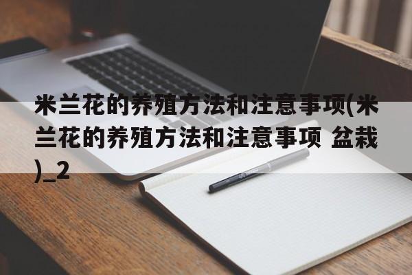 米兰花的养殖方法和注意事项(米兰花的养殖方法和注意事项 盆栽)_2