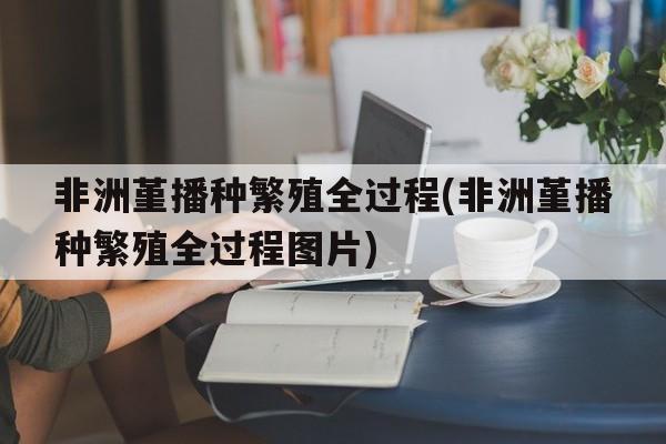 非洲堇播种繁殖全过程(非洲堇播种繁殖全过程图片)