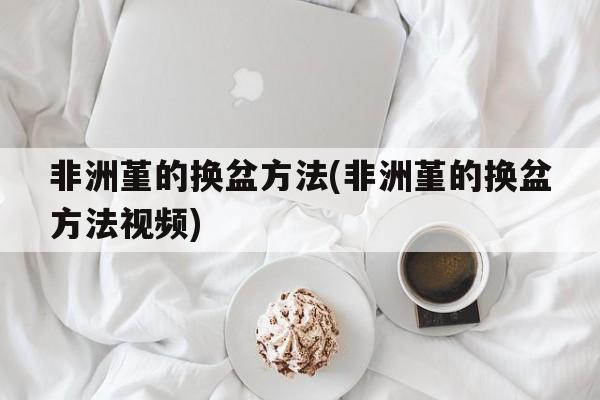 非洲堇的换盆方法(非洲堇的换盆方法视频)