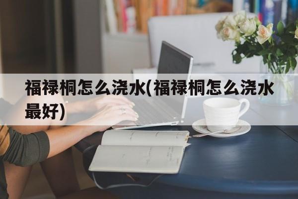 福禄桐怎么浇水(福禄桐怎么浇水最好)