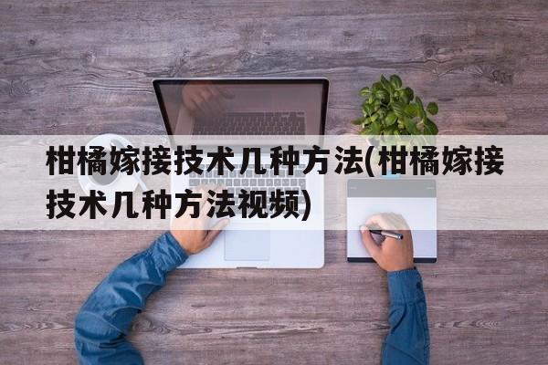 柑橘嫁接技术几种方法(柑橘嫁接技术几种方法视频)