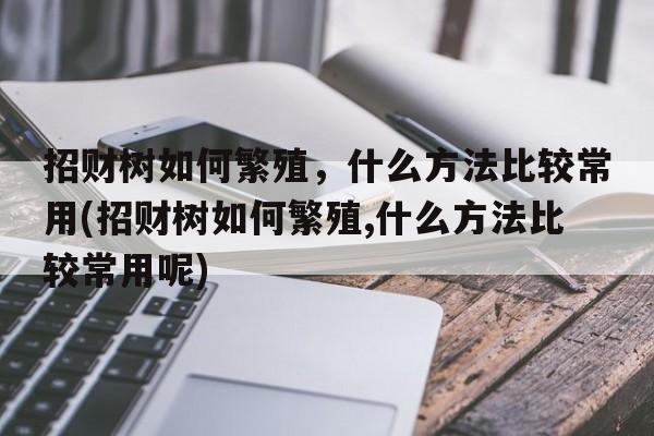 招财树如何繁殖，什么方法比较常用(招财树如何繁殖,什么方法比较常用呢)