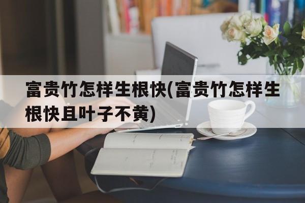 富贵竹怎样生根快(富贵竹怎样生根快且叶子不黄)