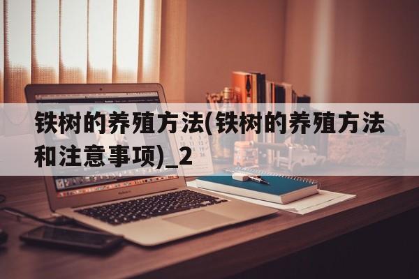 铁树的养殖方法(铁树的养殖方法和注意事项)_2