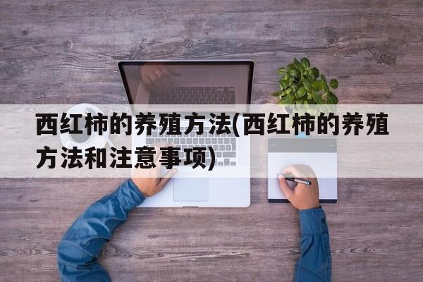 西红柿的养殖方法(西红柿的养殖方法和注意事项)