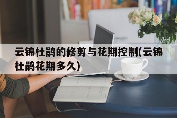 云锦杜鹃的修剪与花期控制(云锦杜鹃花期多久)