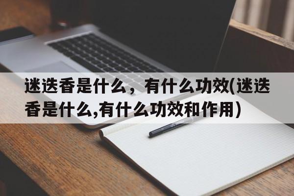 迷迭香是什么，有什么功效(迷迭香是什么,有什么功效和作用)