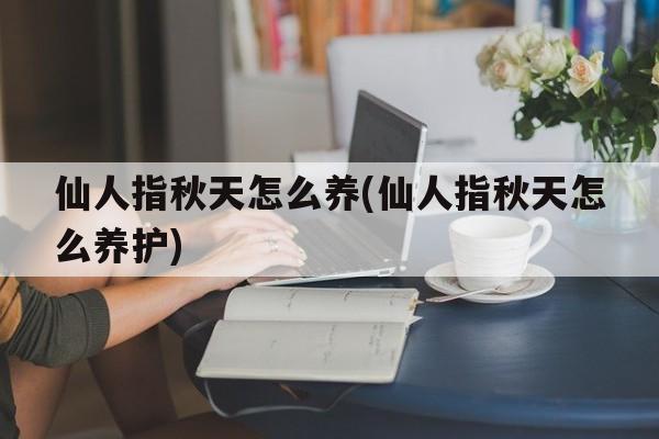 仙人指秋天怎么养(仙人指秋天怎么养护)