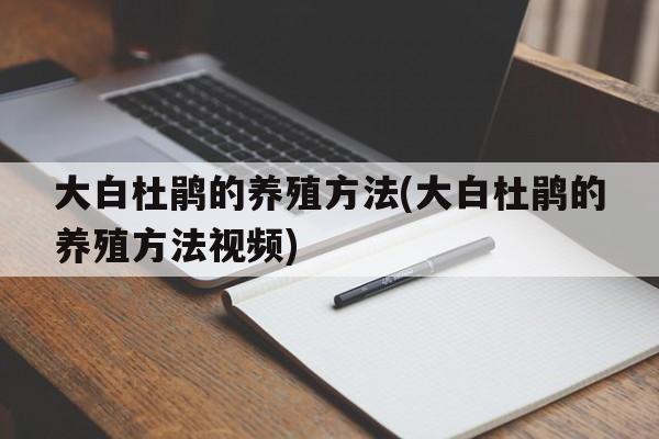 大白杜鹃的养殖方法(大白杜鹃的养殖方法视频)