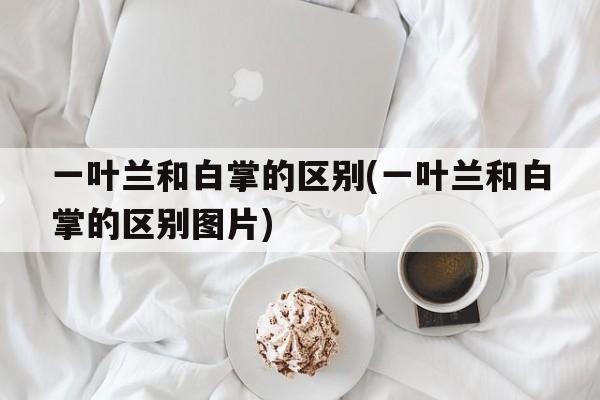 一叶兰和白掌的区别(一叶兰和白掌的区别图片)