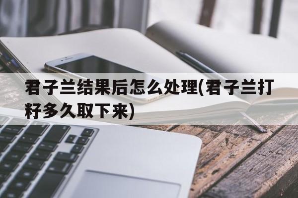 君子兰结果后怎么处理(君子兰打籽多久取下来)