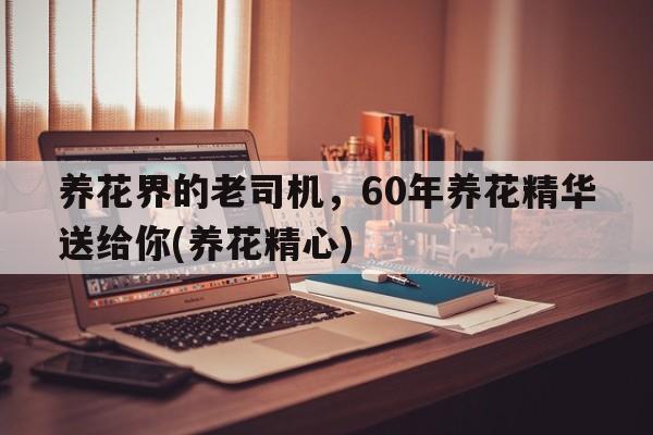 养花界的老司机，60年养花精华送给你(养花精心)