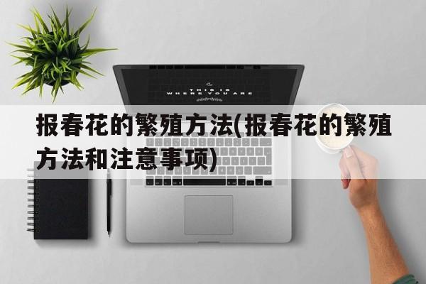 报春花的繁殖方法(报春花的繁殖方法和注意事项)