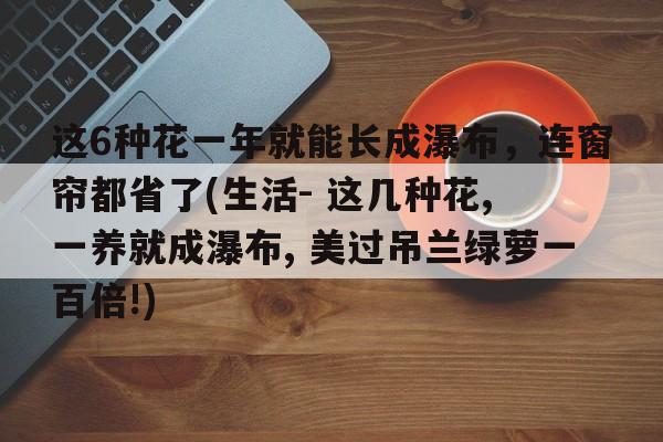 这6种花一年就能长成瀑布，连窗帘都省了(生活- 这几种花, 一养就成瀑布, 美过吊兰绿萝一百倍!)