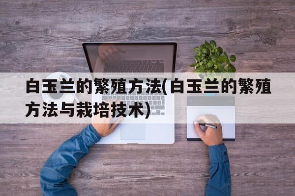 白玉兰的繁殖方法(白玉兰的繁殖方法与栽培技术)