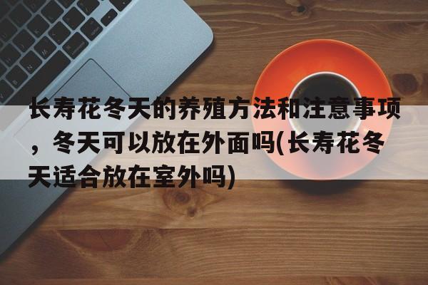 长寿花冬天的养殖方法和注意事项，冬天可以放在外面吗(长寿花冬天适合放在室外吗)