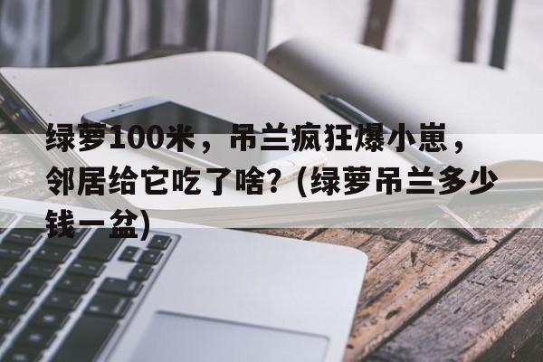 绿萝100米，吊兰疯狂爆小崽，邻居给它吃了啥？(绿萝吊兰多少钱一盆)