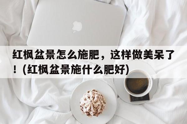 红枫盆景怎么施肥，这样做美呆了！(红枫盆景施什么肥好)